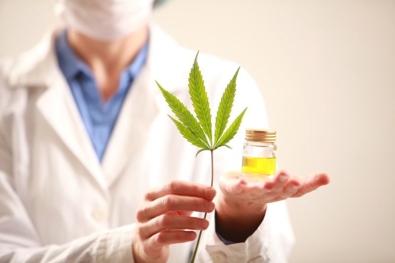 101757290-Olegmalyshev-Dreamstime-INP-Instituut-voor-Neuropathische-Pijn dvn cannabis