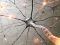 What is the definition of neuropathic pain?
