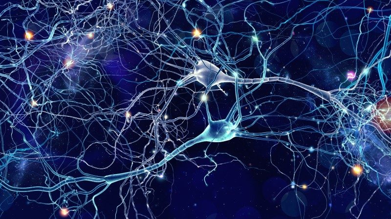 108927267-Whitehoune-Dreamstime-INP Multifocale Motorische Neuropathie MMN