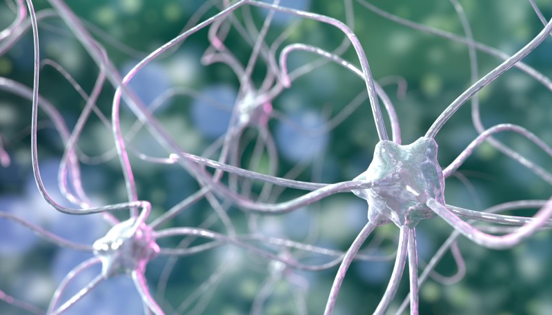 114733280-Stanislav-Rykunov-Dreamstime-INP-Instituut-voor-Neuropathische-Pijn mmn