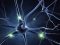 Neuropathic pain research in Germany