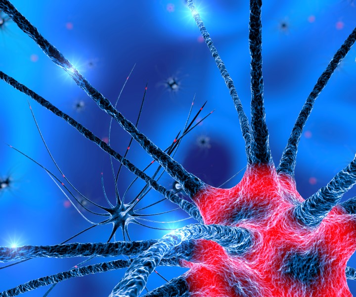 47830861-Vampy1-Dreamstime-INP-Instituut-voor-Neuropathische-Pijn critical illness neuropathie