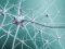 Neurogenese: herstel van zenuwen is mogelijk!