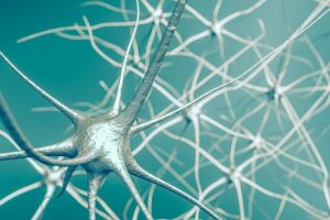 67084777-Vchalup-Dreamstime-INP neuropathic pain definition
