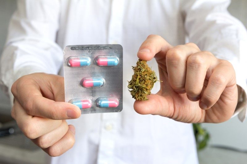 72720186-Sergiy-Gaydaenko-Dreamstime-INP-Instituut-voor-Neuropathische-Pijn opiaten cannabis