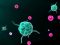 Mast cells in Abdominal Aortic Aneurysm