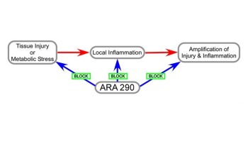 ara290b-INP