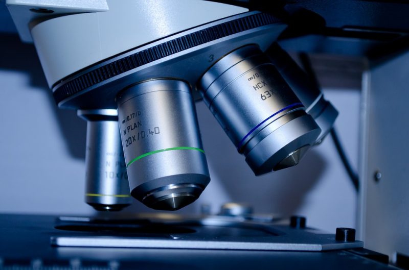 pixabay-275984-INP-Instituut-voor-Neuropathische-Pijn amyloidose