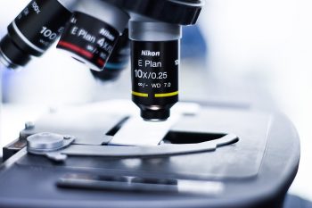 pixabay-3498582-INP.jpg Tapentadol en Olesoxime bij neuropathie