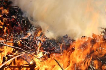 pixabay-4244633-INP burning feet syndroom