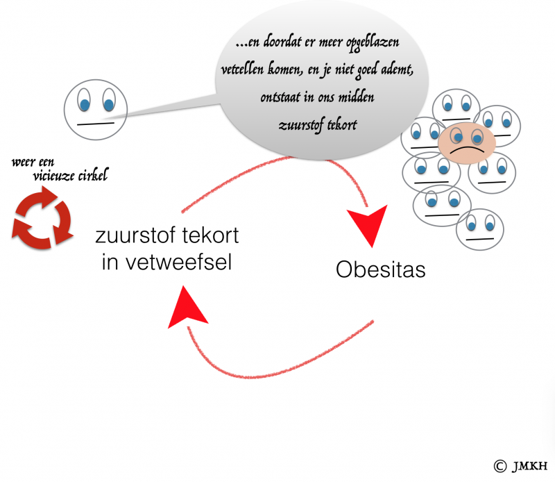 overgewicht witte vetcel